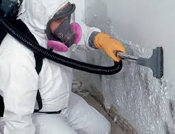 Best Asbestos and Lead Testing During Mold Inspection  in USA